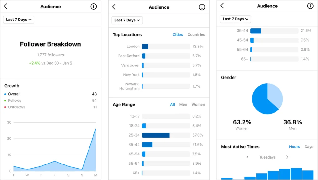 instagram audit